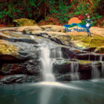 Deep cleaning and Airbnb cleaning services in Buderim by The Maids Sunshine Coast cleaners