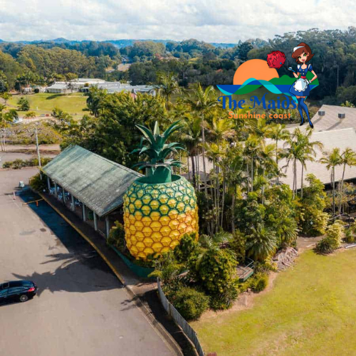 Nambour and Sunshine Coast hinterland cleaning services - The Maids Sunshine Coast local cleaners for homes and short-term rentals